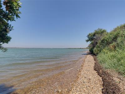 Picture 24